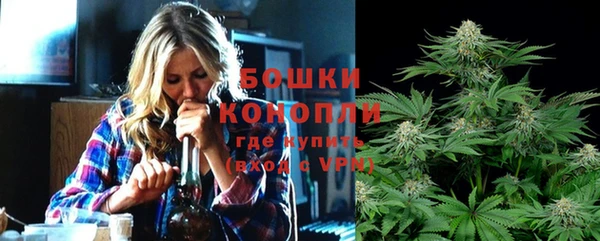 ешки Алзамай