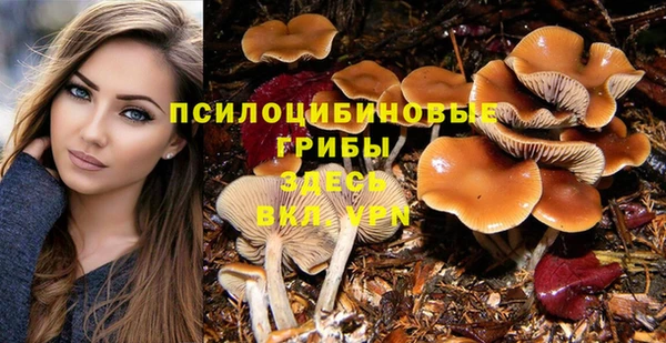 ешки Алзамай